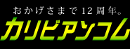 ����ӥ��󥳥�